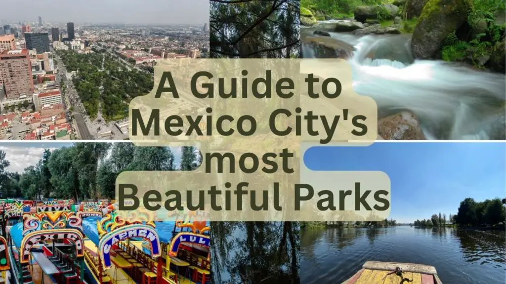 A Guide to Mexico City's Most Beautiful Parks
