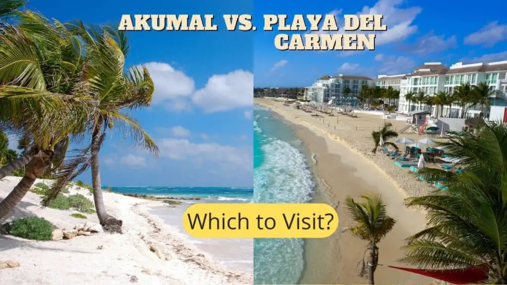 Akumal vs. Playa del Carmen