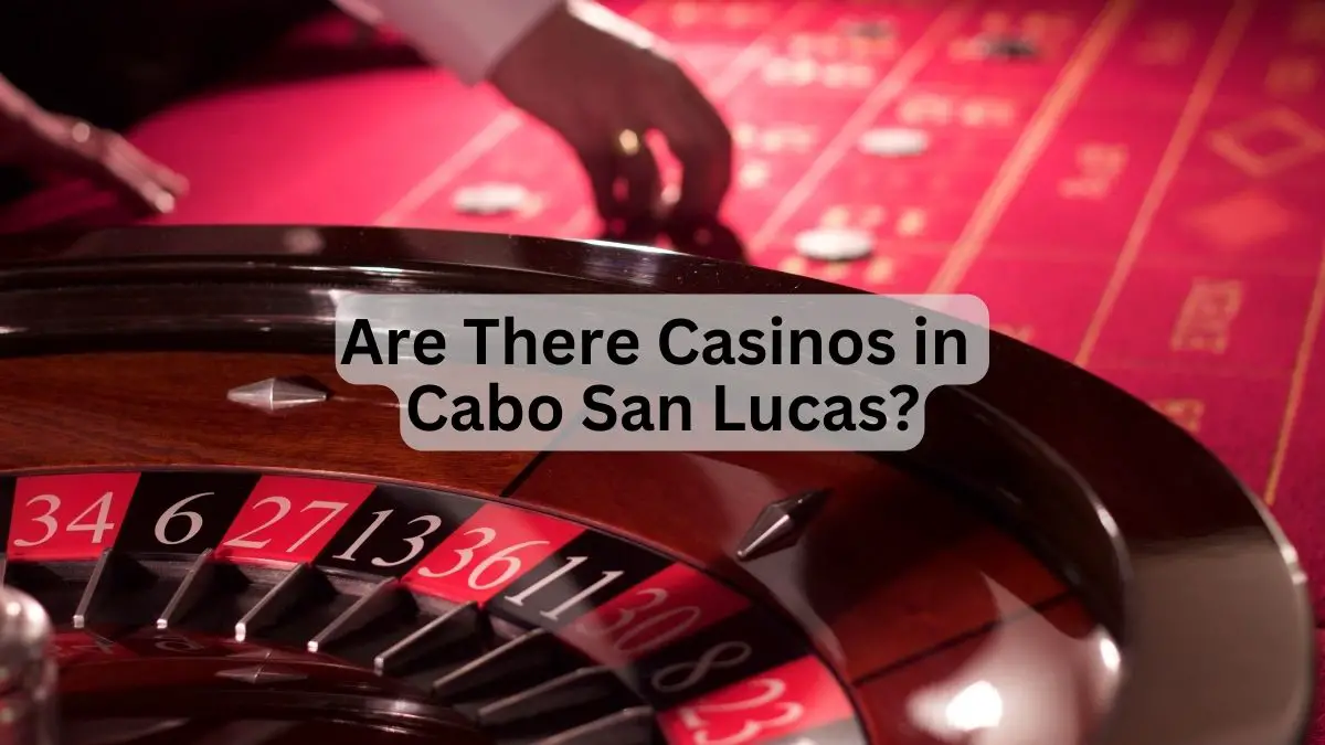 Are There Casinos in Cabo San Lucas