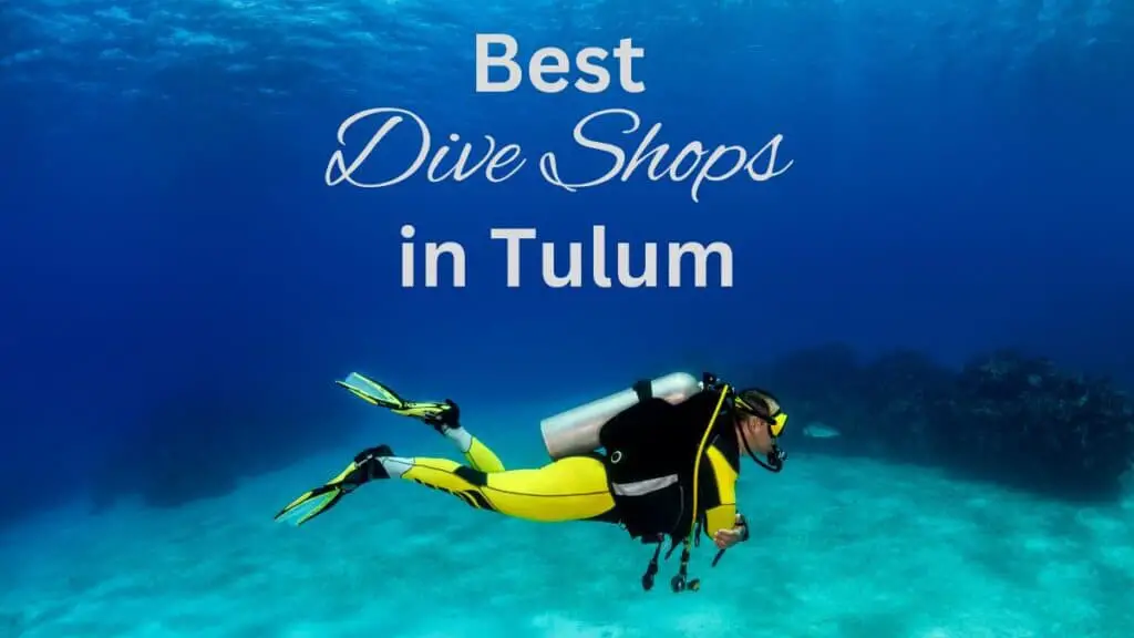 Best Dive Shops in Tulum