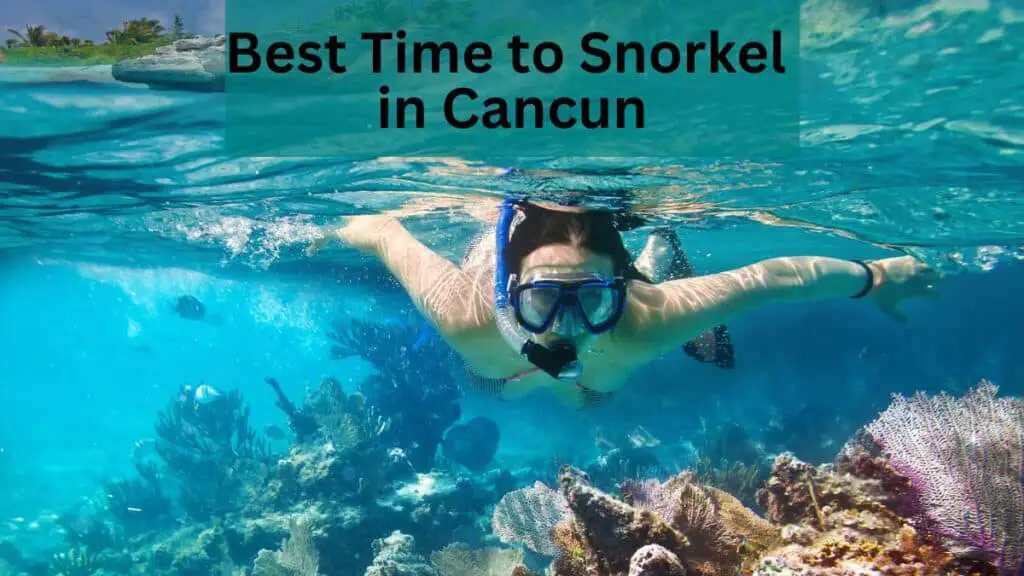 Best Time to Snorkel in Cancun
