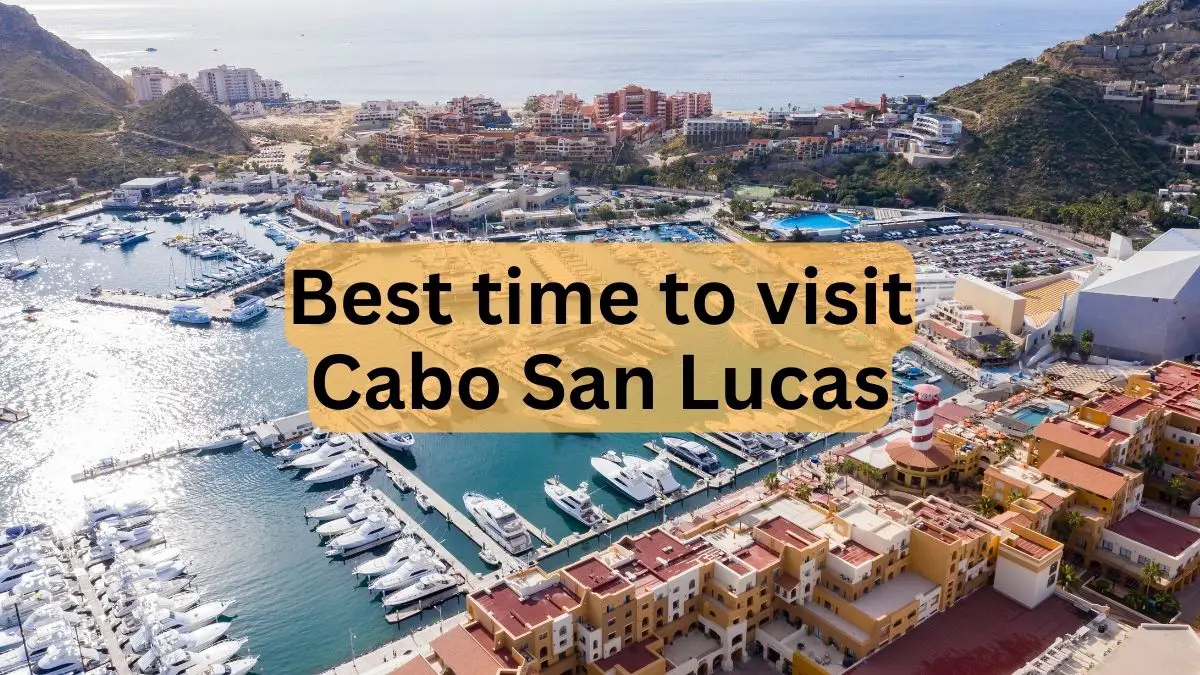 Best Time to Visit Cabo San Lucas