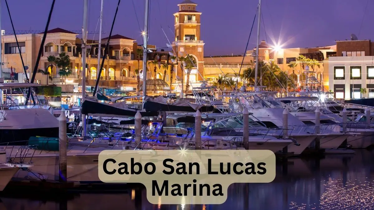 Cabo San Lucas Marina