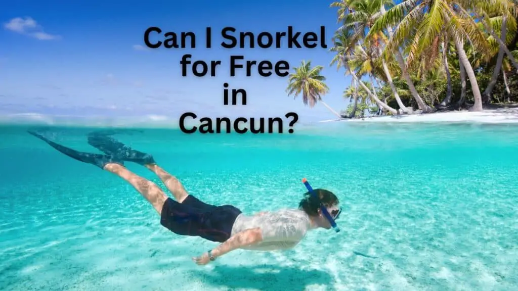 Can I Snorkel for Free in Cancun