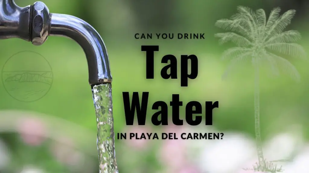 Can You Drink Tap Water in Playa del Carmen?