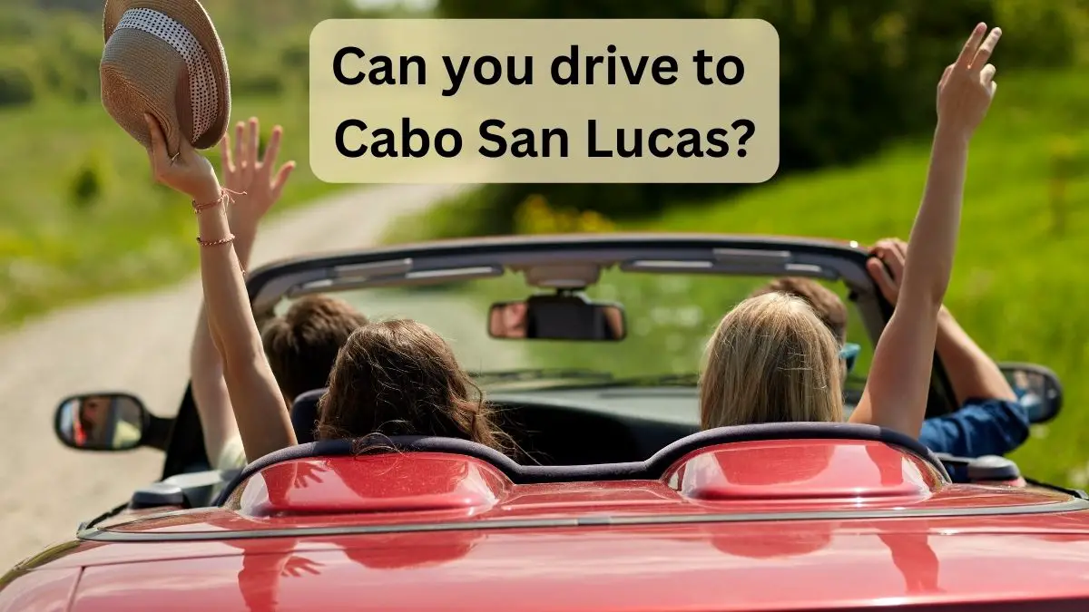 Can You Drive to Cabo San Lucas