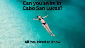 Can You Swim in Cabo San Lucas