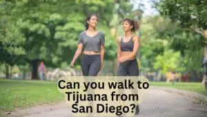 Can You Walk to Tijuana from San Diego