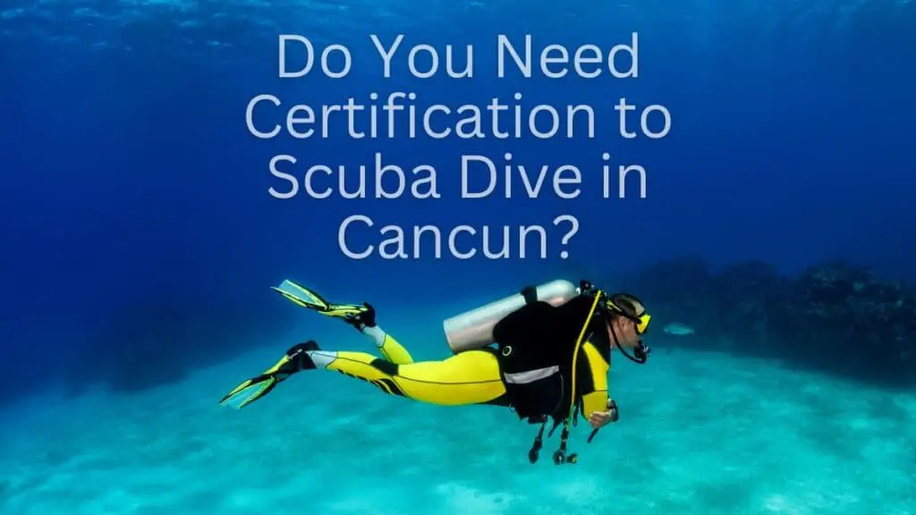 Do You Need Certification to Scuba Dive in Cancun