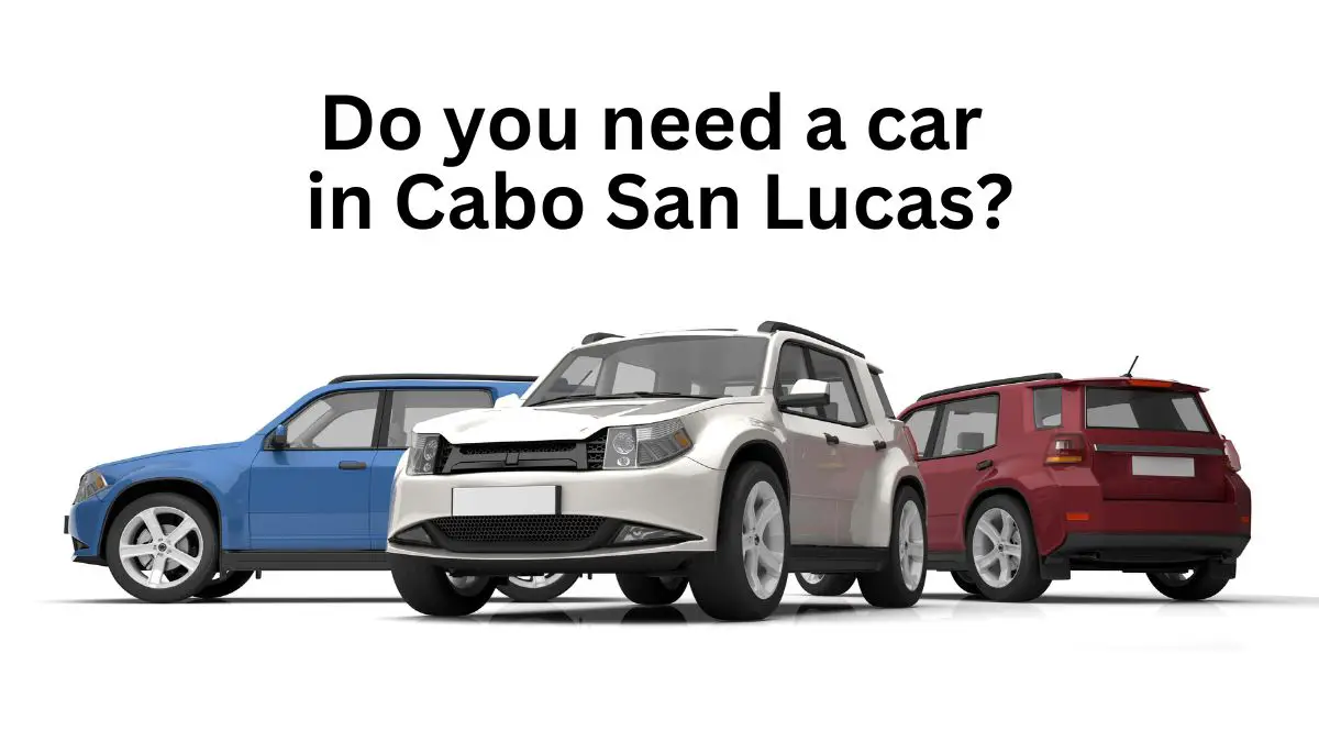 Do You Need a Car in Cabo San Lucas