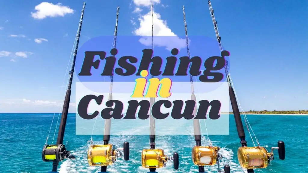 Fishing In Cancun