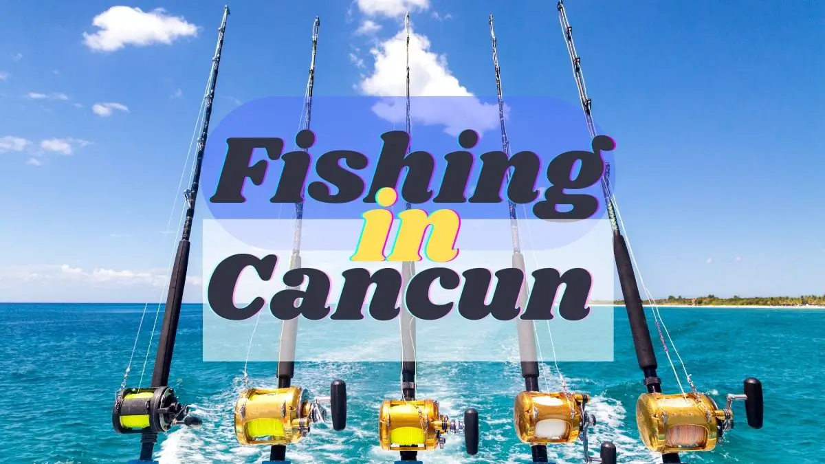Fishing In Cancun