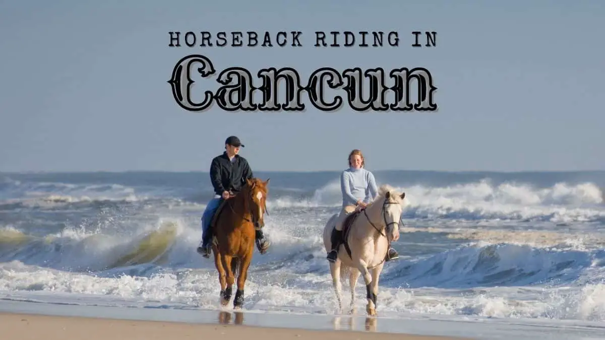 Horseback Riding in Cancun