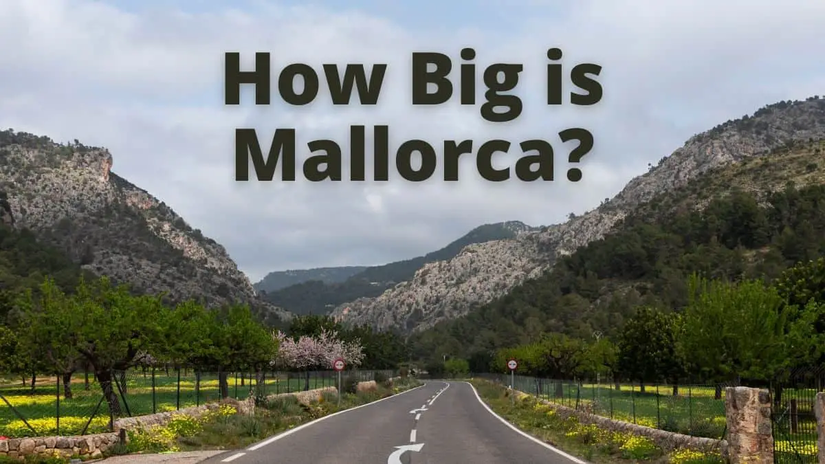 How Big is Mallorca?