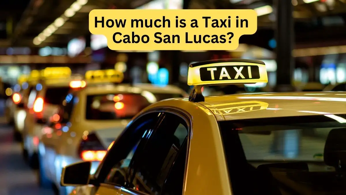 How Much Is a Taxi in Cabo San Lucas