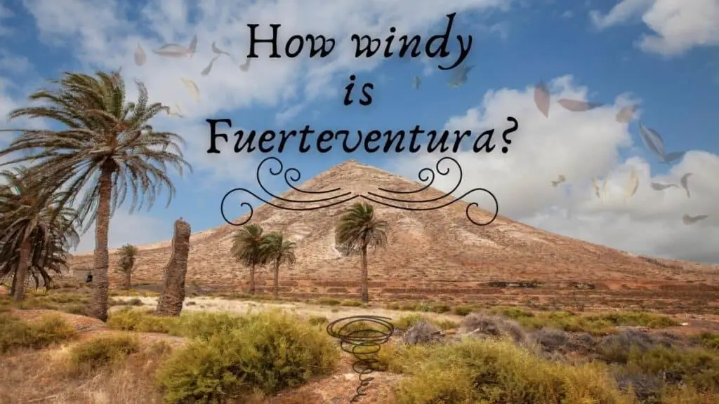 How windy is Fuerteventura?