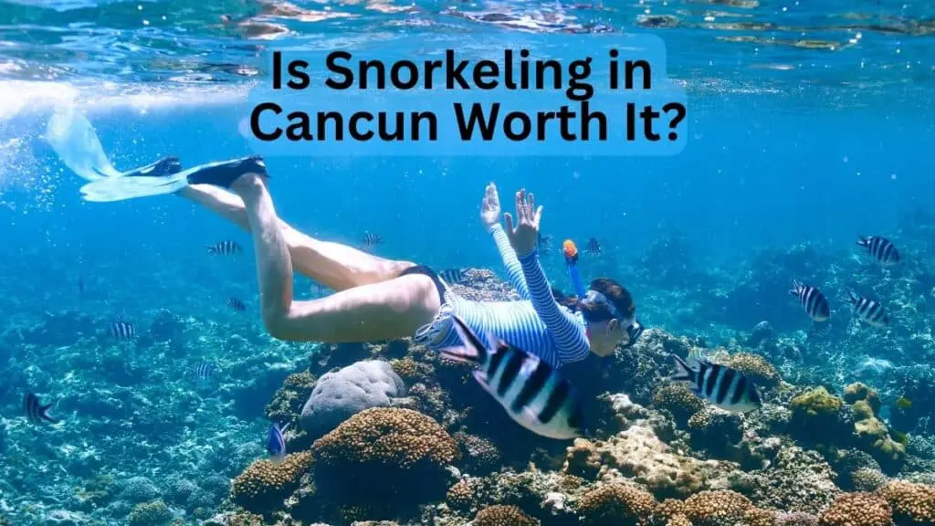 Is Snorkeling in Cancun Worth It