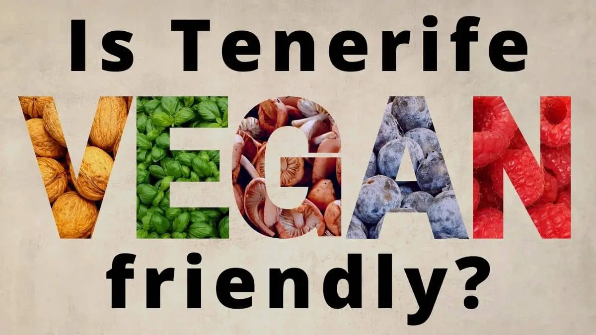 Is Tenerife vegan friendly?