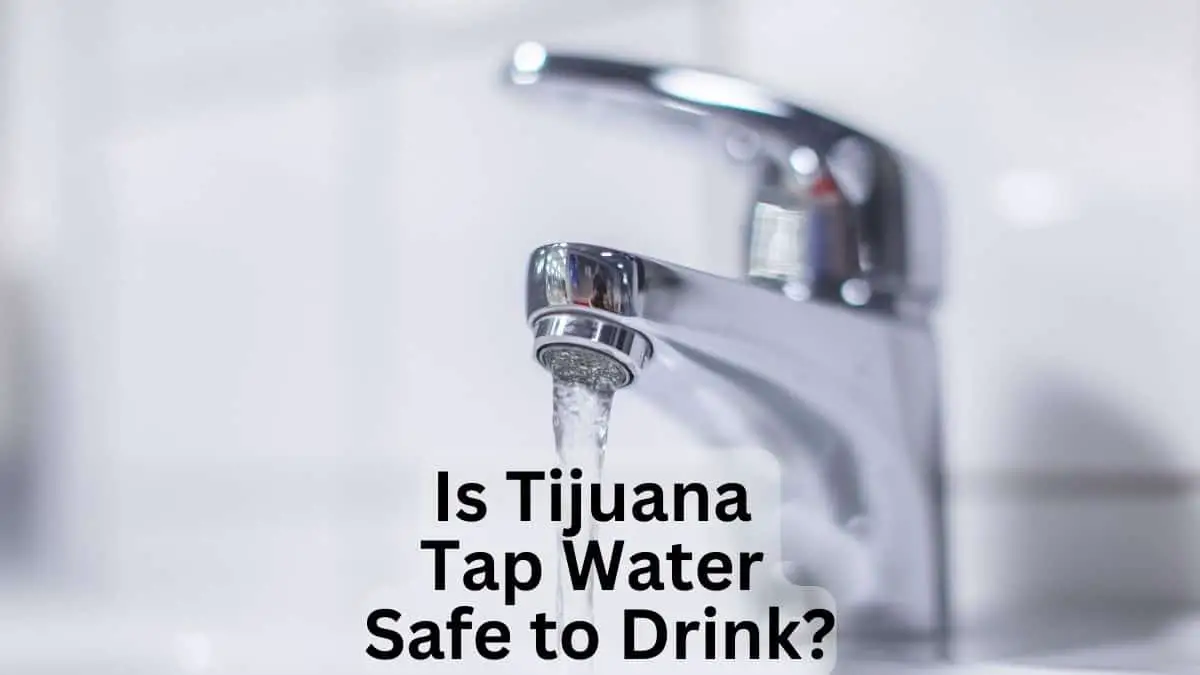Is Tijuana Tap Water Safe to Drink