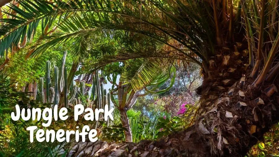 Jungle Park Tenerife