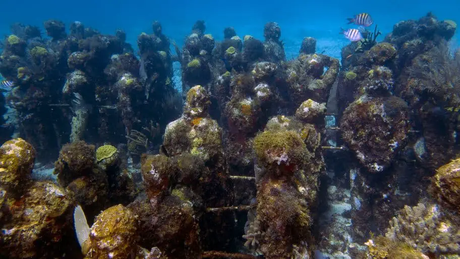 MUSA - Cancun Underwater Museum of Art - sculptures