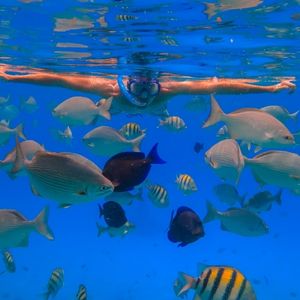 Snorkel in cancun