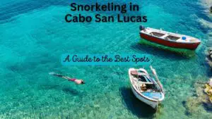 Snorkeling in Cabo San Lucas