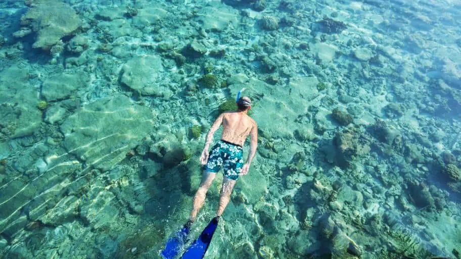 Snorkeling in Tulum