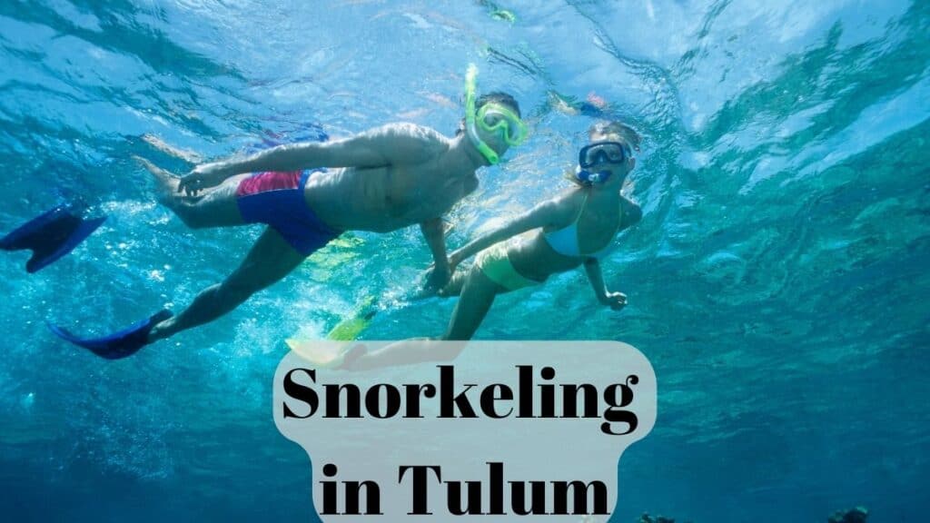 Snorkeling in Tulum