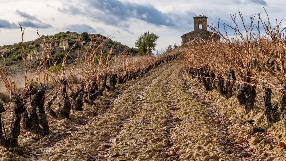 Spanish Wine