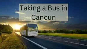 Taking a Bus in Cancun