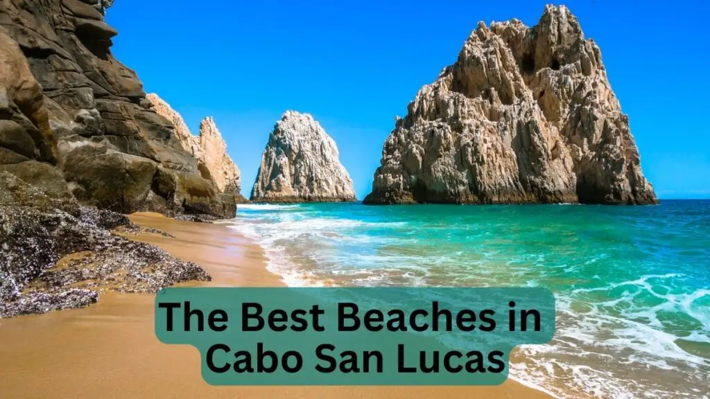 The Best Beaches in Cabo San Lucas Our Top Picks