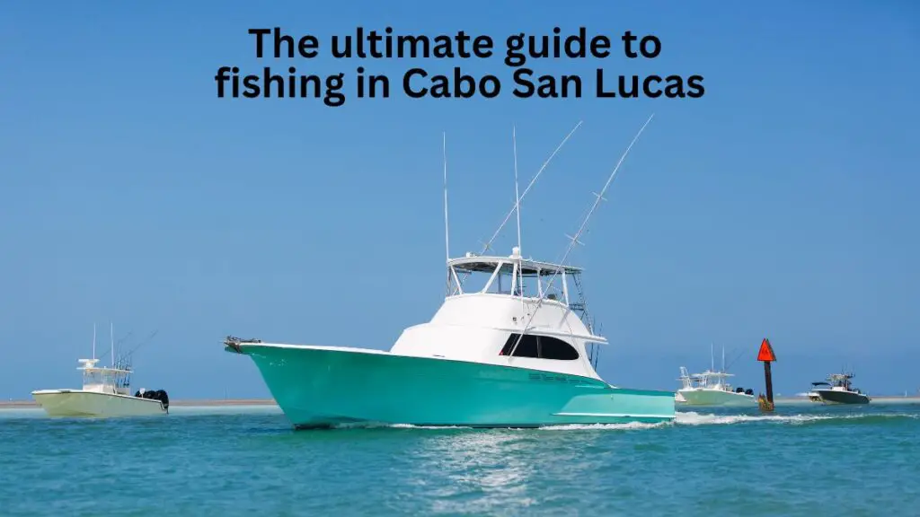 The Ultimate Guide to Fishing in Cabo San Lucas