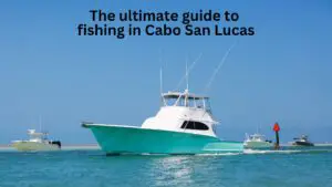 The Ultimate Guide to Fishing in Cabo San Lucas