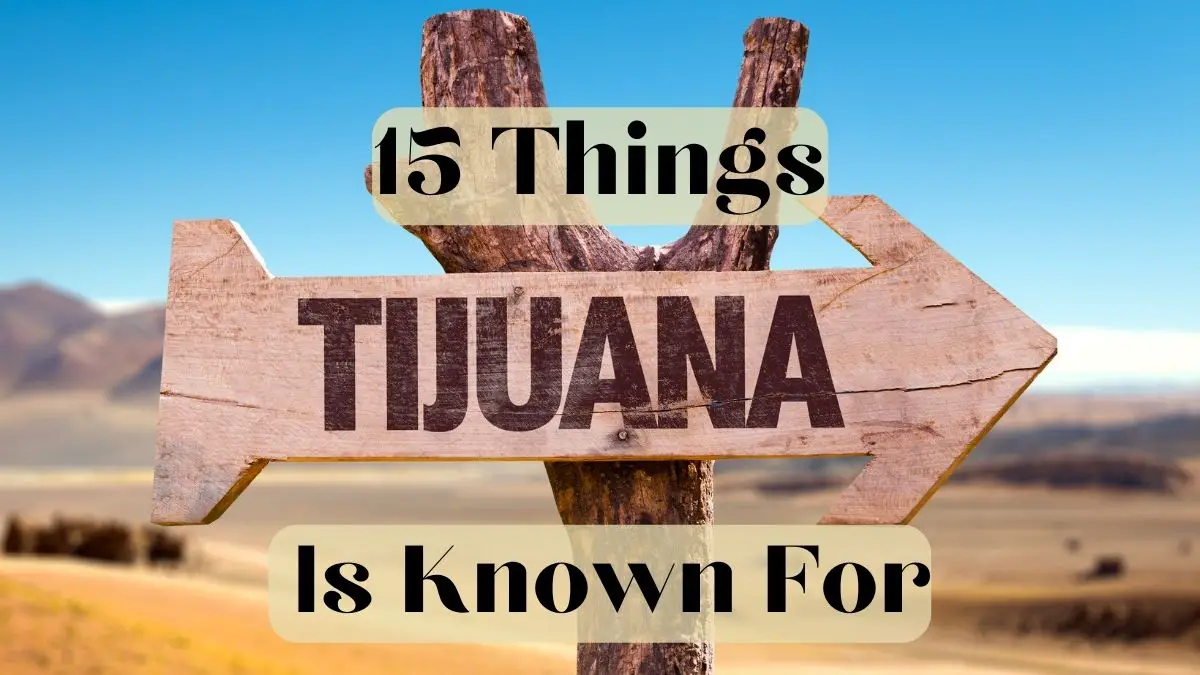 Things Tijuana Is Known For
