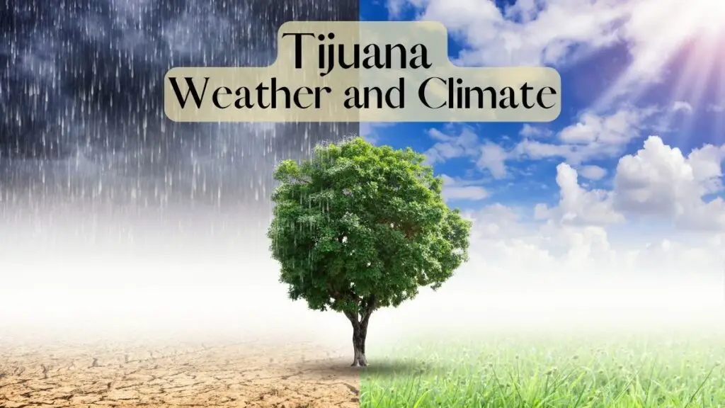 Tijuana Weather and Climate
