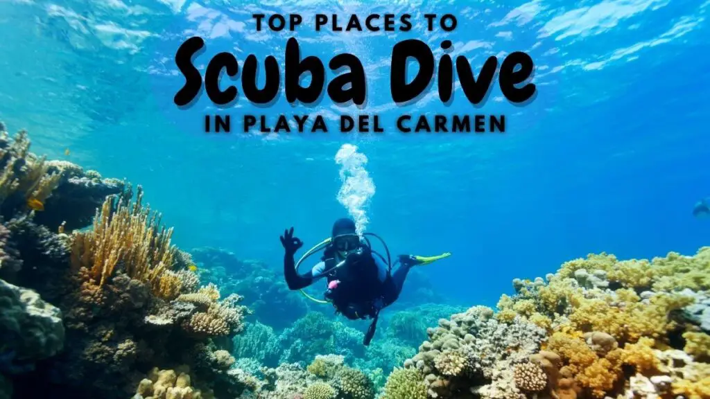 Top Places to Scuba Dive in Playa del Carmen