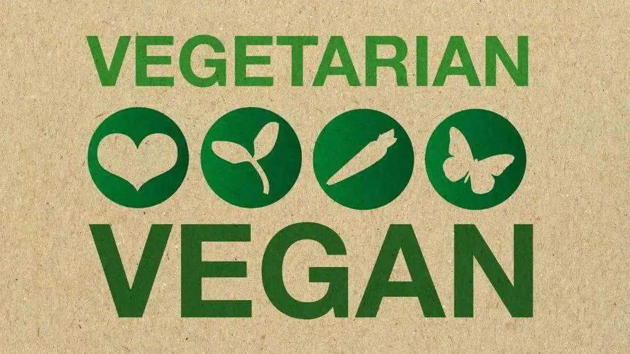 Vegetarian and Vegan food