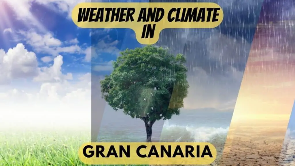 Weather and Climate in Gran Canaria