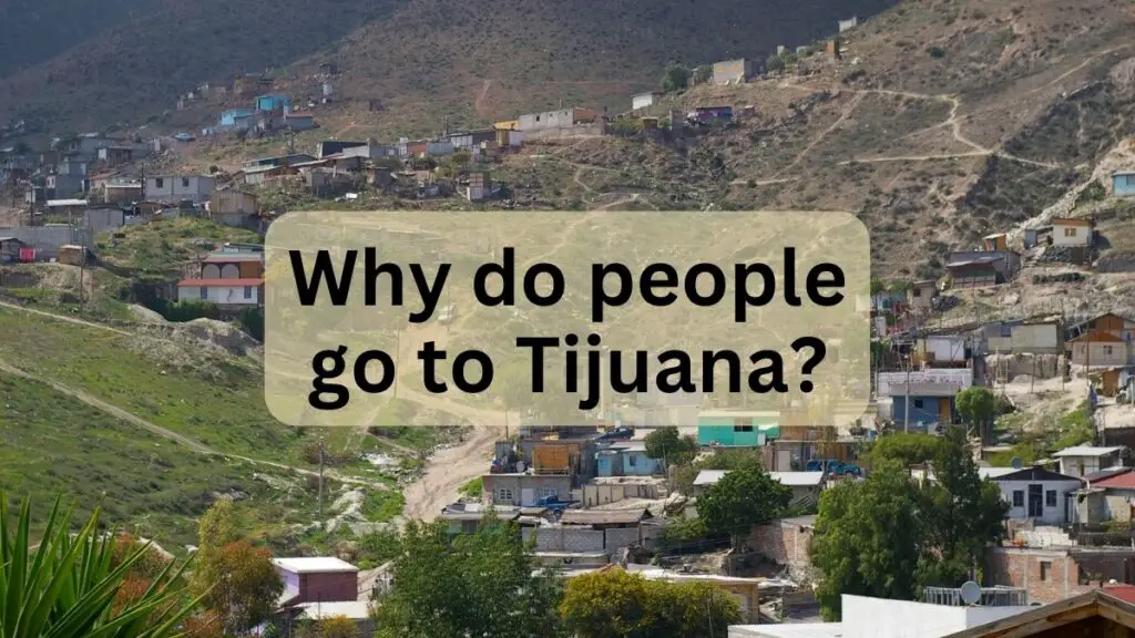 Why Do People Go to Tijuana
