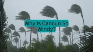 Why Is Cancun So Windy