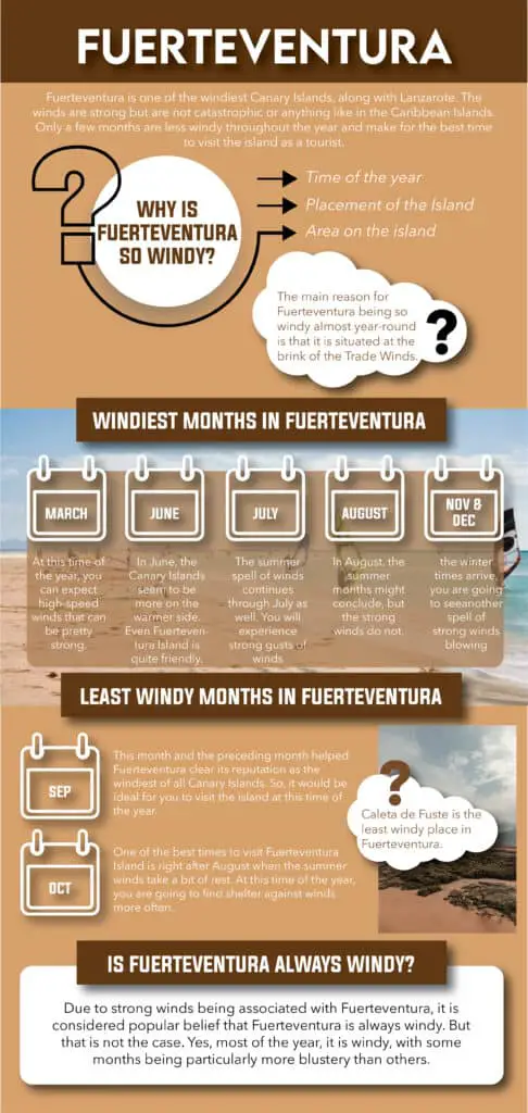 wind fuerteventura - infographic